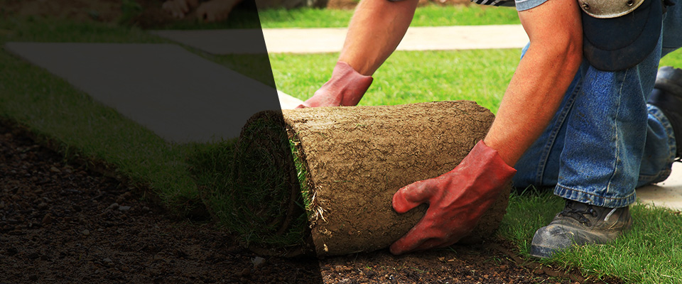 Clements Landscapers